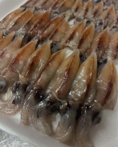 Firefly squid

#Kobe
#Sannomiya
#Alegria
#Bistro Alegria
#Italian Bar
#Spanish Bar
#Kobe Gourmet
#KobeDinner
#Sannomiya gourmet
#Sannomiya dinner
#Firefly squid
#Ahijo
#Pizza
#pasta
#Paella
#Part-time job recruitment
#0311