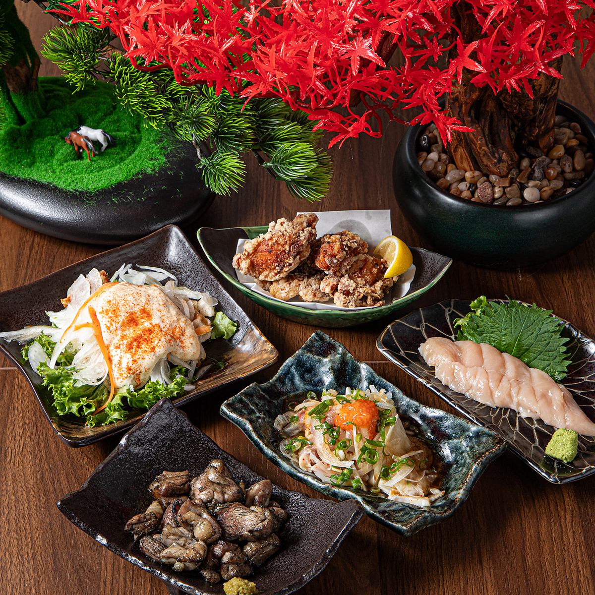 2025年3月27日グランドオープン！宮崎産の地鶏のこだわり料理が存分に楽しめる！