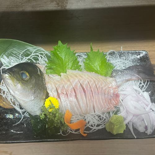 イサキ姿造り