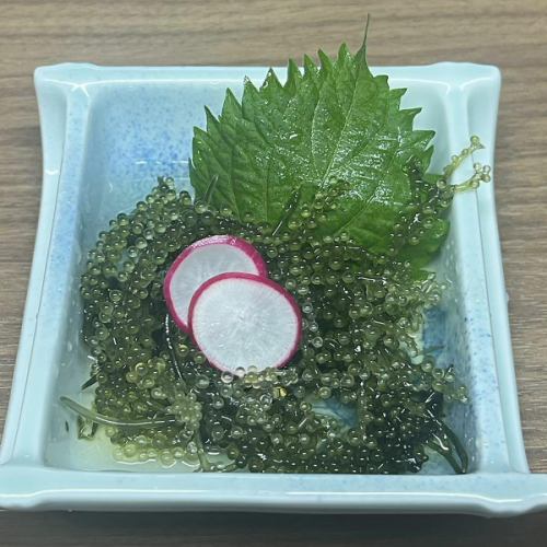 海ぶどう