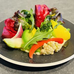 おつまみサラダ　バーニャカウダソース