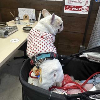 テラス席はペット同伴OK、リードフック完備♪