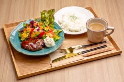 Hamburger steak plate