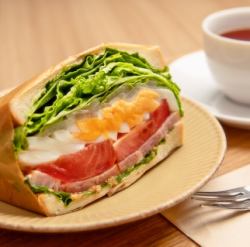 C set (BLTE Sand Morning)