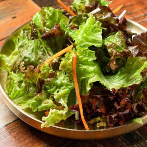 チョレギサラダ