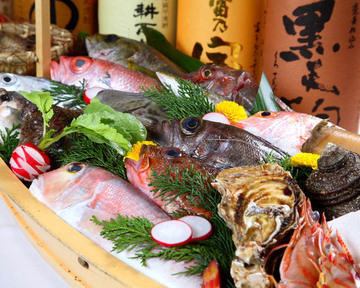 Fish purchased from Akashi public market every morning.Ikatsuzukuri costs 1180 yen (included)