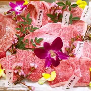 Tottori Japanese beef olein 55