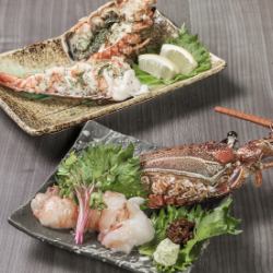 伊勢海老の姿焼きとお刺身のセット