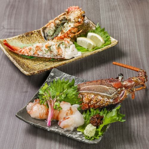 「伊勢海老鍋」を初めお造りや姿焼きなど伊勢海老を堪能