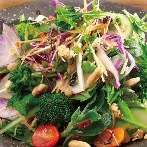 血液サラサラすりおろしオニオンドレッシングの11品目野菜「八百屋サラダ」