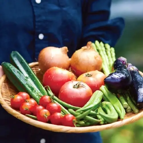 鮮度満点の籠盛り野菜!