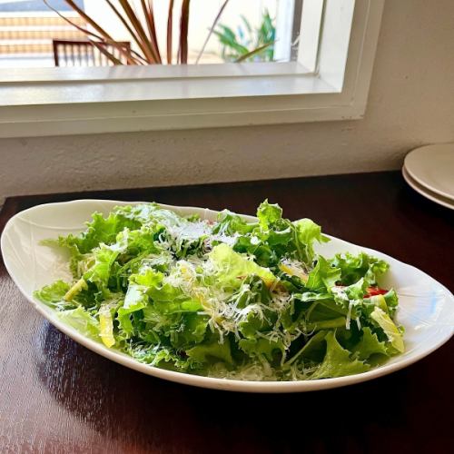 green salad of fresh vegetables