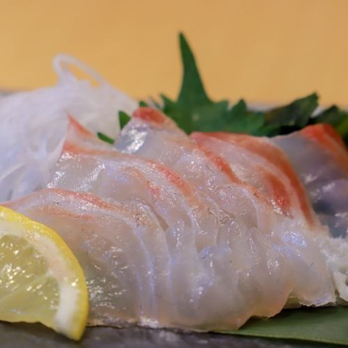 愛媛県産真鯛の造り