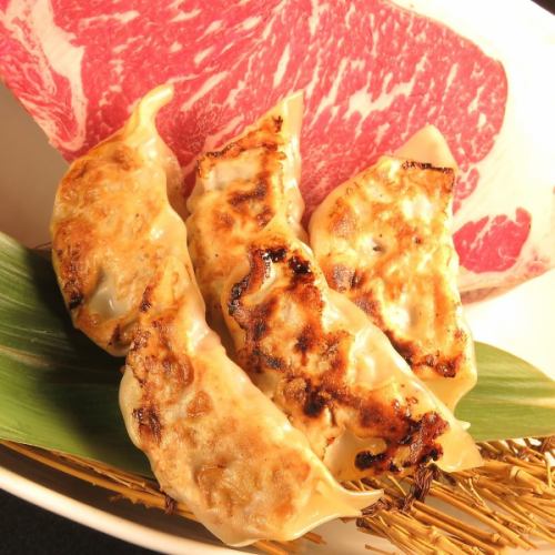 Hokkaido beef dumplings