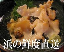 Hokkaido whelk