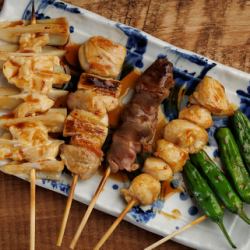 5 skewers