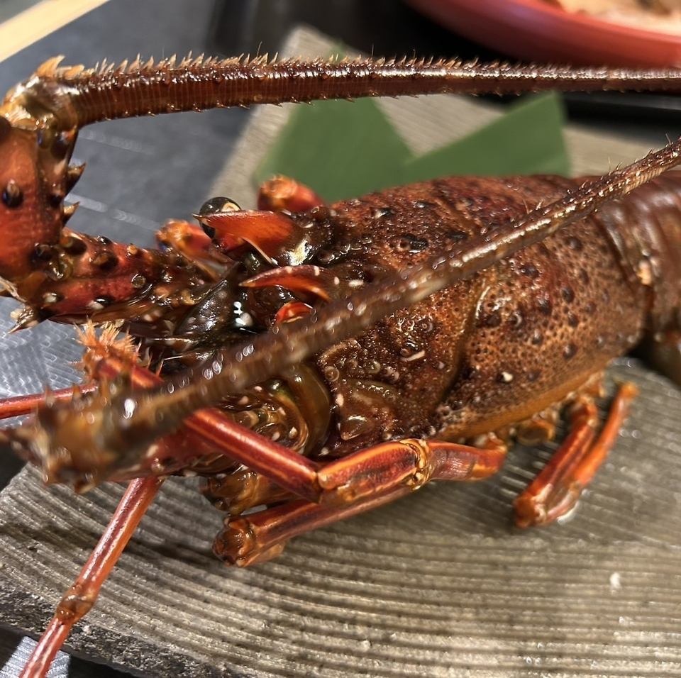 ハレノヤのこだわりの食材をお楽しみください♪