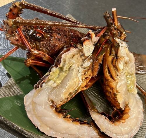 ≪単品料理≫伊勢海老（1尾/約500g前後）6,380円(税込)　～お祝い事やサプライズに～