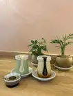 Matcha pudding