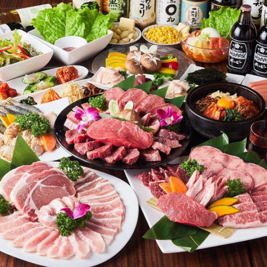 [120-minute all-you-can-eat special Japanese beef course] Meat platter included only for the dish! 130 dishes for 3,980 yen (tax included)