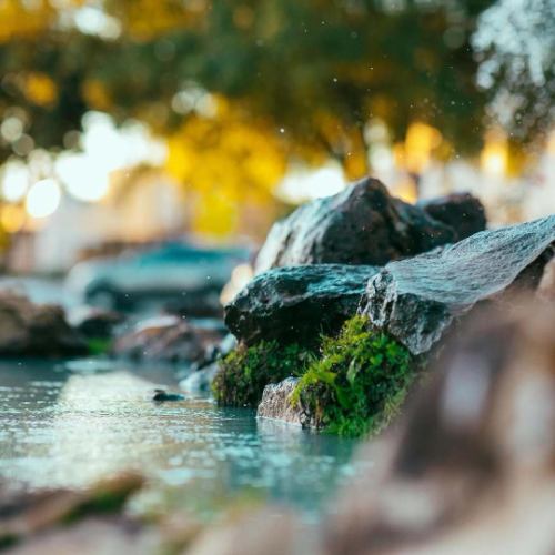 お客様の”身となる”食材に徹底的にこだわる。