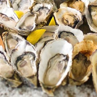 [Only possible at an oyster specialty store!] All-you-can-eat raw oysters delivered directly from the source & 15 kinds of oyster dishes for 90 minutes for 3,980 yen