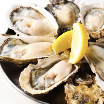Online reservations only! Serious oyster specialty store! [Raw oysters] 60 minutes all-you-can-eat for 1,980 yen!!