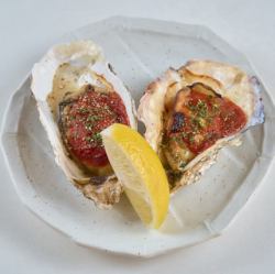 Grilled oysters with salsa sauce