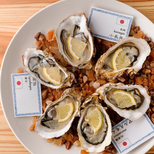 Our restaurant's recommendation★Fresh oysters procured that day from all over Japan!