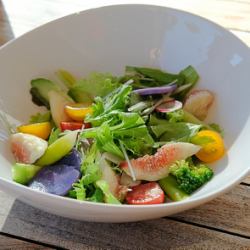 Seasonal vegetable salad