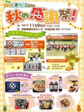 ✨今週の11月9日(