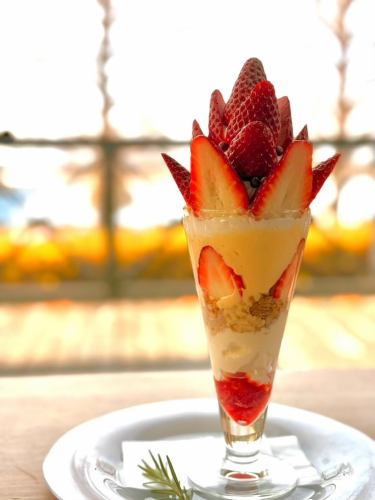 🍓1月23日（周五）开始🍓
“快乐草莓芭菲”
@ashida_aguricultuer 的
新鲜采摘的香甜大草莓
用大量草莓制成的草莓芭菲🍓

我们选用当季最好的草莓，
这是极致的甜点享受😊

分享给所有人，
独自享用一顿奢华大餐🍓

————————————————
FiveCountryCafe
神户市西区上町小津野30-17
洛库诺生活中心内部
0789955660
工作日 11:00~17:00
周末及节假日：8:00～
*直至二月底，工作日营业至下午4点
我们已恢复营业！
免费停车🚗
请在我们的网站上进行预订。
https://fivecountrycafe.owst.jp

#神户午餐
#草莓芭菲
#在神户市西区吃午餐
＃草莓
#神户咖啡馆