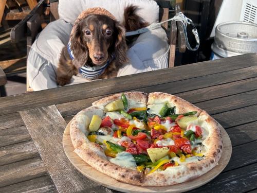 🐶
おまたせしましたー🙌🎉
わんちゃん連れのお客様🐶

テラス席の工事が無事完了し、
この度テラス席がオープンしました🌿

お天気のいい日に☀️
リニューアルして綺麗になった
ウッドデッキのテラスで、
わんちゃんと一緒に
お食事を楽しみに来てください🍽️🍝
————————————————
FiveCountryCafe
神戸市西区神出町小束野 30-17
楽農生活センター内
0789955660
平日11:00~17:00
土日祝 8:00〜
駐車場無料
ご予約はホームページからどうぞ
https://fivecountrycafe.owst.jp

#神戸カフェ
#神戸ランチ
#神戸市西区ランチ
#犬連れランチ 
#テラス席はペット可