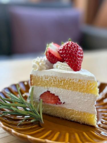 🍰🍰🍰
New sweets coming soon 🎀
"Strawberry Shortcake"
@ashida_aguricultuer's
We use sweet and large strawberries 🍰💕
Please come and enjoy some coffee time💁♂️💁♀️
————————————————
FiveCountryCafe
30-17 Kotsuno, Kamidecho, Nishi-ku, Kobe City
Inside the Rakuno Life Center
0789955660
Weekdays 11:00~17:00
(Until 4:00 PM during the winter season)
Weekends and holidays: 8:00~
Free parking
Please make your reservation on our website
https://fivecountrycafe.owst.jp
#Kobe Cafe
#KobeLunch
#Lunch in Nishi Ward, Kobe City
#shortcake
#Strawberry cake