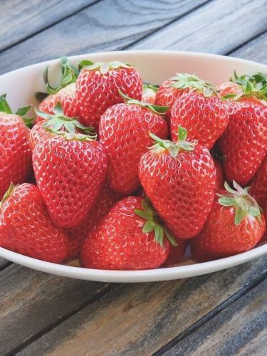Introducing the Strawberry Buffet!
The previously hugely popular strawberry buffet is making a comeback in March! 👏👏

The remaining dates are
Sunday, the 22nd
3pm to 5pm each day
(90-minute limit, last entry at 4:00 PM)
(Reservation required at least 2 days in advance)

We still have openings!

【Price】
・Adults: 4,800 yen
・Ages 5 to 11: 3,500 yen
・3 to 4 years old: 2,500 yen

Applications are accepted via DM.
Name
Contact details
Number of people
Your age
Start time
Please leave a message clearly stating the above.
Your reservation will be confirmed once we receive your reply.

This is a very popular event so make your reservation early!
We'll be expecting you!

————————————————

FiveCountryCafe
30-17 Kotsuno, Kamidecho, Nishi-ku, Kobe City
Hyogo Rakuno Life Center
0789955660
Weekdays 11:00~17:00
Weekends and holidays: 8:00-17:00
Free parking
Please make your reservation on our website
https://fivecountrycafe.owst.jp

#Sweets
#strawberry
#strawberry
#StrawberryParfait
#StrawberryBuffet