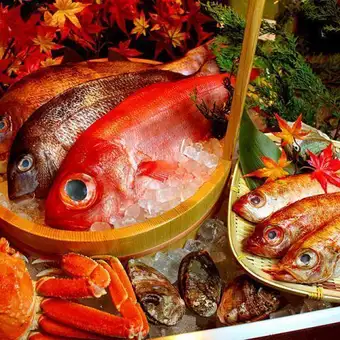 其次，「每日新鮮捕撈的魚」。