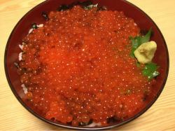 Hokkaido special salmon roe pickled in soy sauce