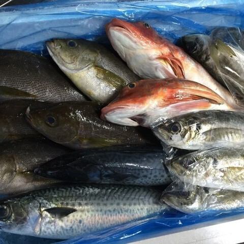 全国各地より店主自ら市場へ行き、毎朝仕入れる旬の鮮魚が自慢！