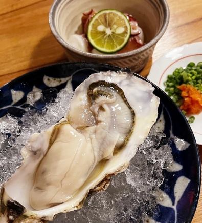 厳選！食材を使ったこだわりコース（竹）【生ビール付き飲み放題込】8品5000円(税込)