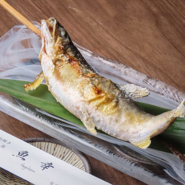 魚幸の大定番！！鮎の塩焼き