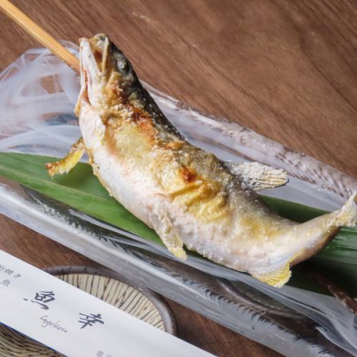 魚幸の大定番！！鮎の塩焼き