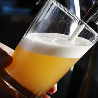 【期間限定飲み放題】ネット予約限定で2.5時間!タパス付き【メインのお料理は別途ご注文】