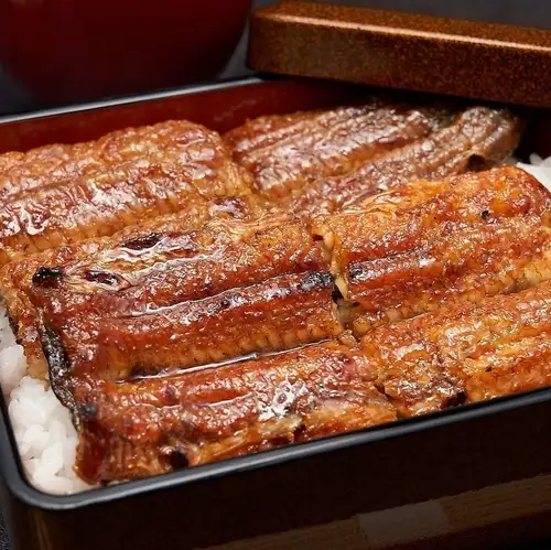 숯불 구이 장어의 사치품 연회