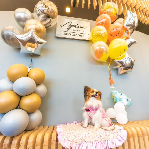 Apian ピアン 蘇我 公式