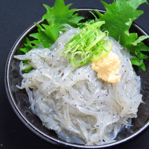 Shinojima raw shirasu sashimi