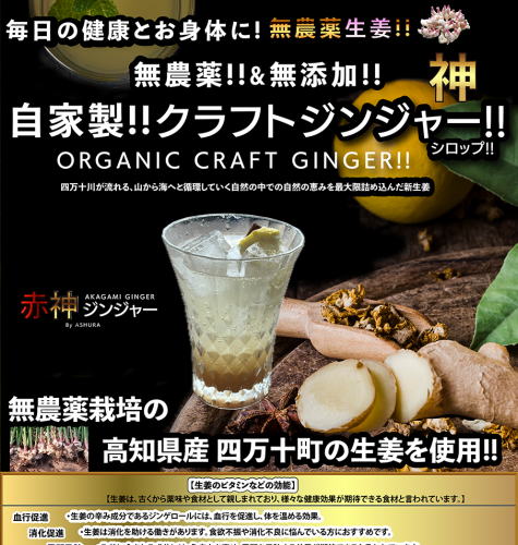 無農薬農家さんの生姜を使った クラフトジンジャー