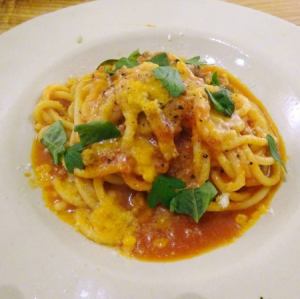 阿马特里西安娜·阿拉比亚塔