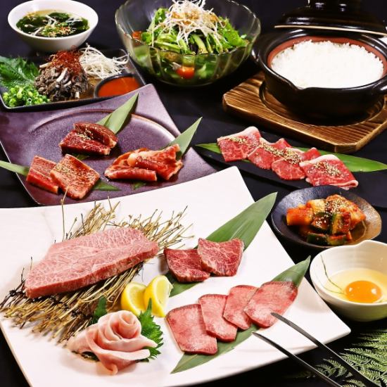 검은 털 일본소를 전문으로 취급하는 고기 고기를 즐길 수 있습니다.
