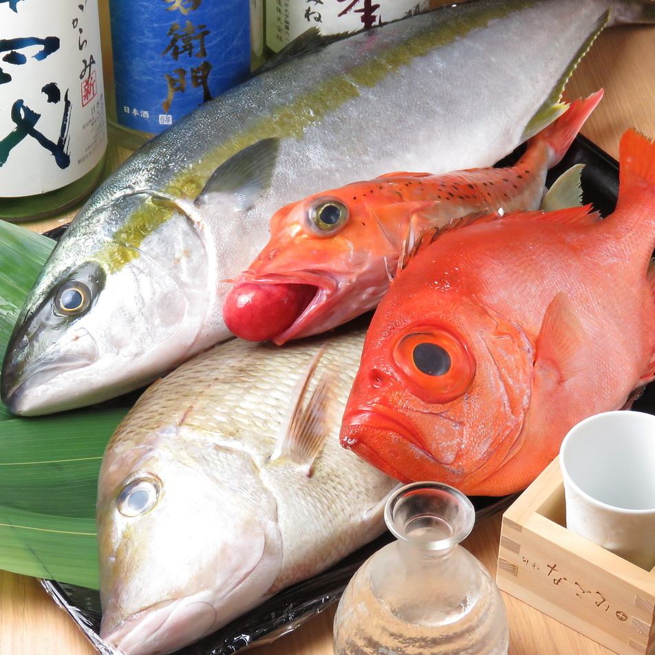 料理長自ら当日旬の魚介を仕入れて新鮮な鮮魚をご提供しています
