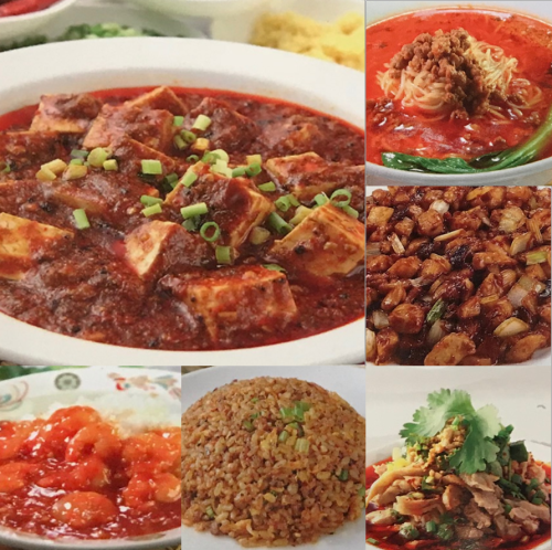 맛있는 쓰촨 동북 요리는 모두 일품 세트 ◎ 맵지만 맛있다! 중국인 오너 세프 혼신! 자랑의 일품 [마파 두부]
